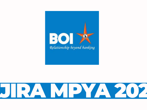 Manager / Officer Credit at Bank of India (Tanzania) Ltd March 2026