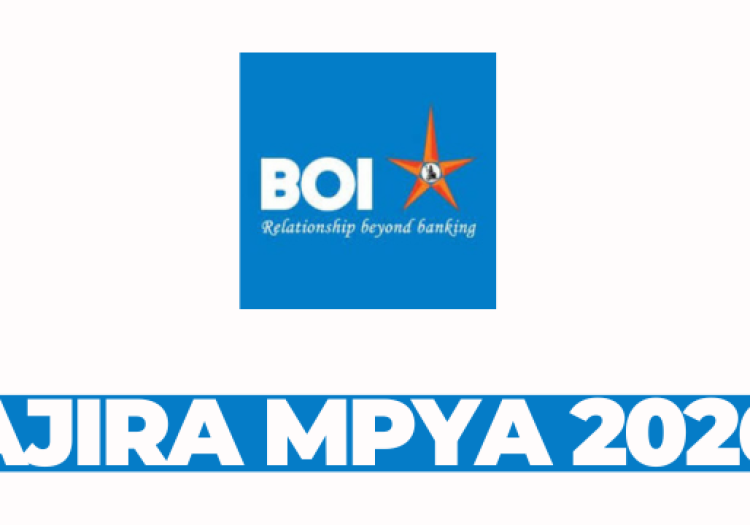 Manager / Officer Credit at Bank of India (Tanzania) Ltd March 2026