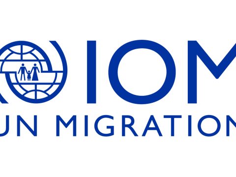 Senior Immigration and Border Governance Specialist at IOM February 2026