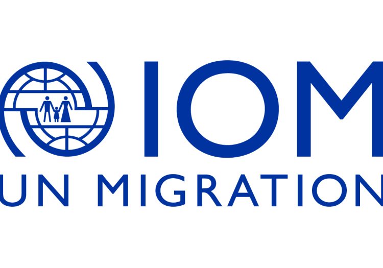 Senior Immigration and Border Governance Specialist at IOM February 2026