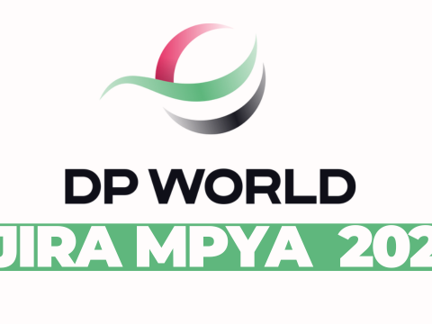 Senior Manager: Commercial BD – 4PL at DP World February 2026