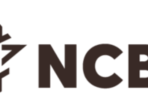 Senior Manager, Talent Management at NCBA Bank – January 2026