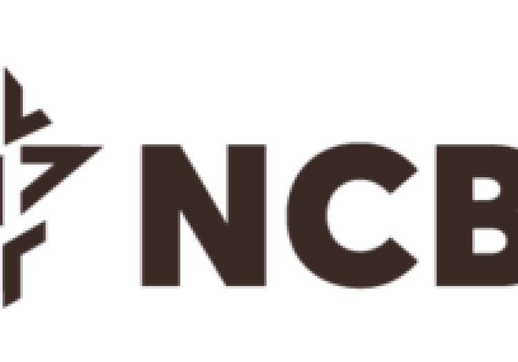 Senior Manager, Talent Management at NCBA Bank – January 2026