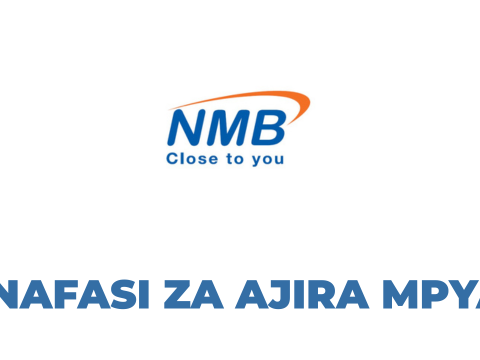 Senior Relationship Manager; Chinese Desk at NMB Bank Tanzania