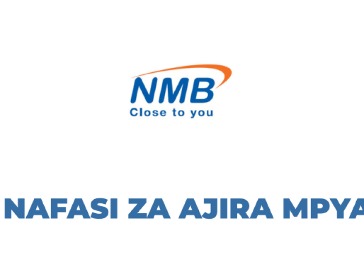 Senior Relationship Manager; Chinese Desk at NMB Bank Tanzania