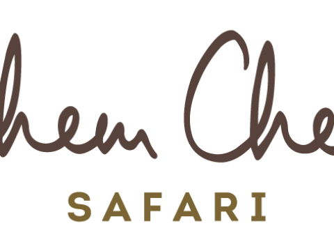 Spa Therapists at Chem Chem Safari March 2026