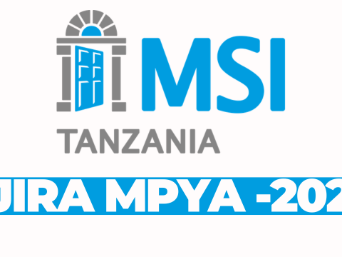 Stock Accountant at MSI Tanzania February 2026