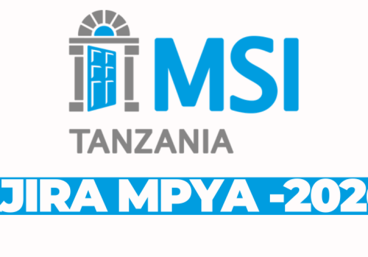 Stock Accountant at MSI Tanzania February 2026