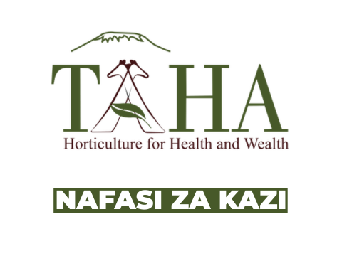 TAHA Vacancies 2026