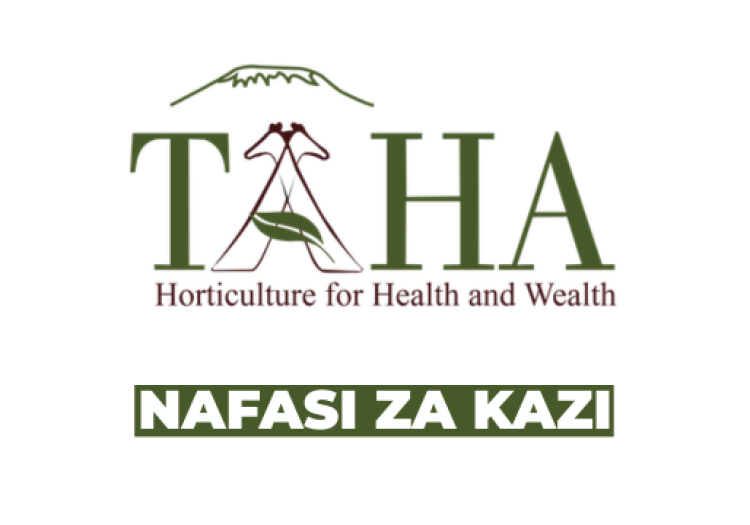 TAHA Vacancies 2026