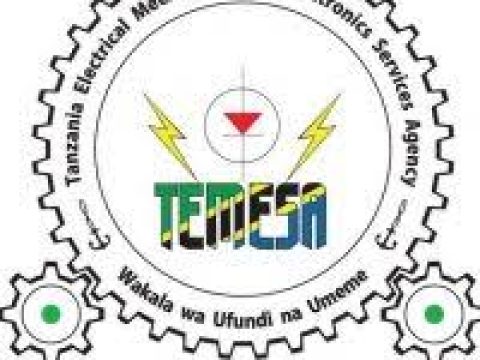 TEMESA Vacancies February 2026