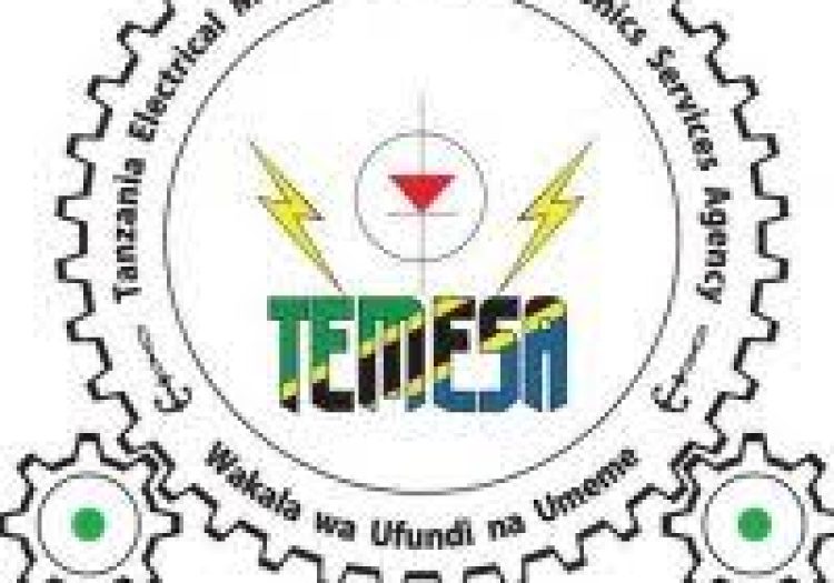 TEMESA Vacancies February 2026