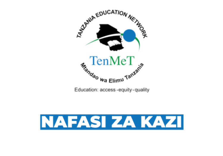TEN/MET Tanzania Vacancies 2026