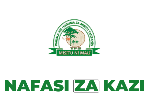 TFS Tanzania Vacancies 2025