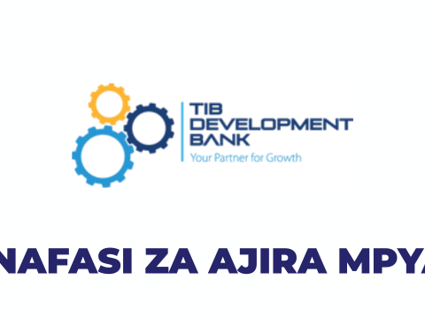 TIB Development Bank Vacancies 2026