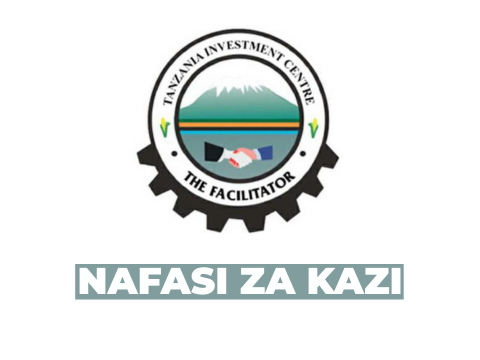 TISEZA Board Member Vacancy – Private Sector Representative (2026)
