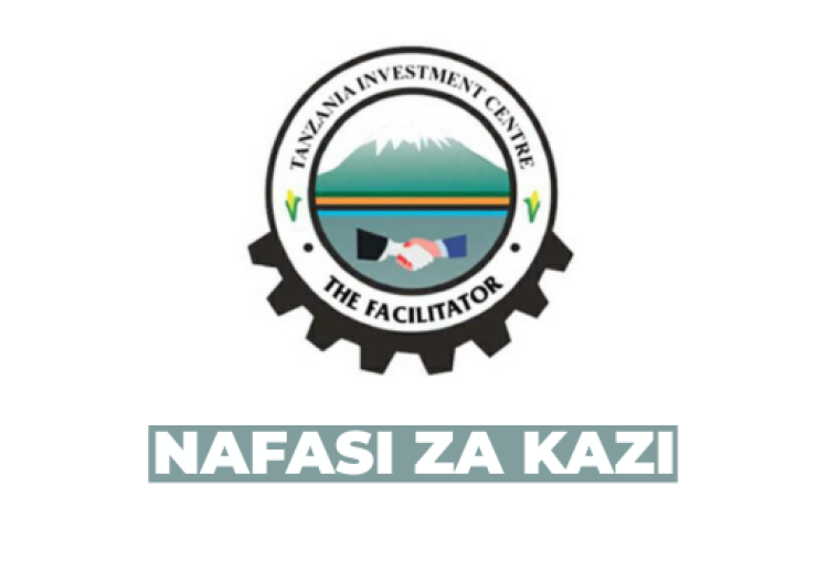 TISEZA Board Member Vacancy – Private Sector Representative (2026)