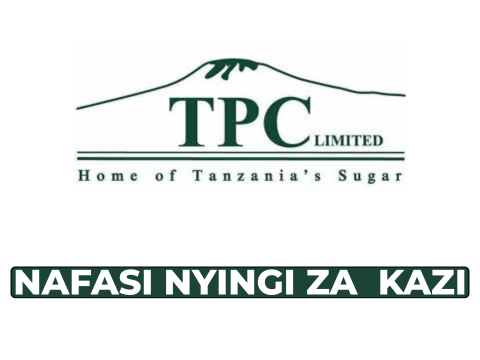 TPC Ltd Jobs: Foreman Records Management & Internships – Feb 2026