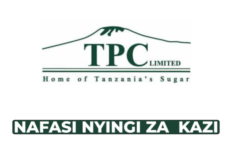 TPC Ltd Jobs: Foreman Records Management & Internships – Feb 2026