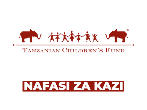 Tanzanian Children’s Fund Vacancies 2026
