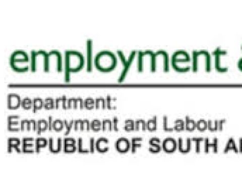 Team Leader: Physical and Information Security Services at The South African Department of Employment & Labour