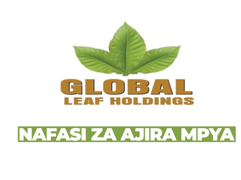 Tobacco Leaf Buyer at Global Leaf Tanzania Limited February 2026