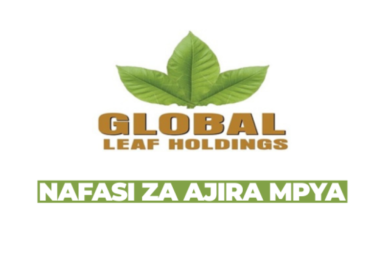 Tobacco Leaf Buyer at Global Leaf Tanzania Limited February 2026