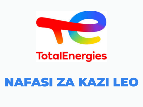 TotalEnergies Tanzania Vacancies 2025