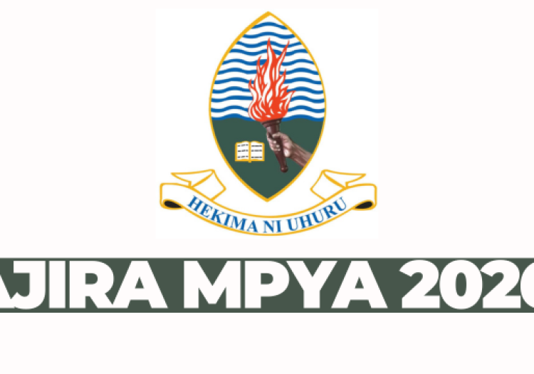 Tpp Program Officer at UDSM February 2026