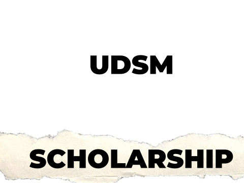 UDSM Merit Scholarships 2025/2026 Fully Funded
