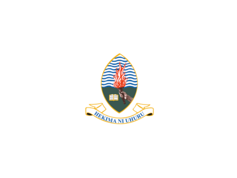 UDSM Vacancies 2025