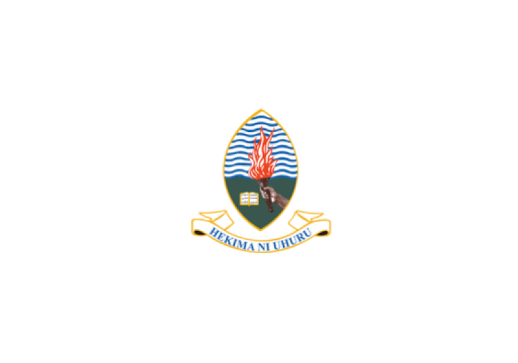 UDSM Vacancies 2025