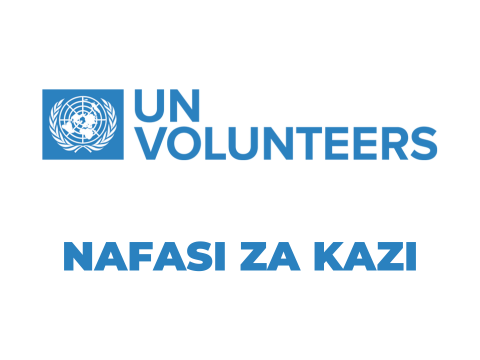 UN Volunteer Tanzania Vacancies 2025