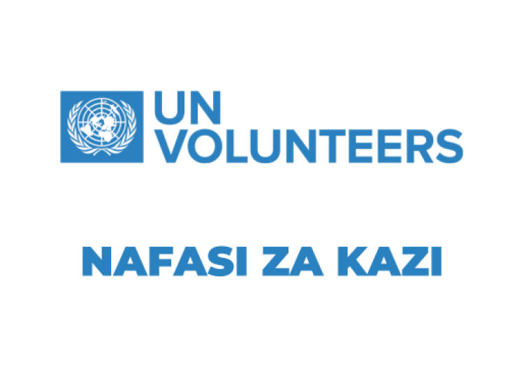 UN Volunteer Tanzania Vacancies 2025