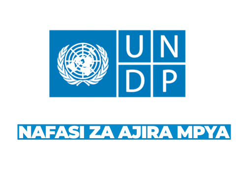 UNDP Vacancies 2026