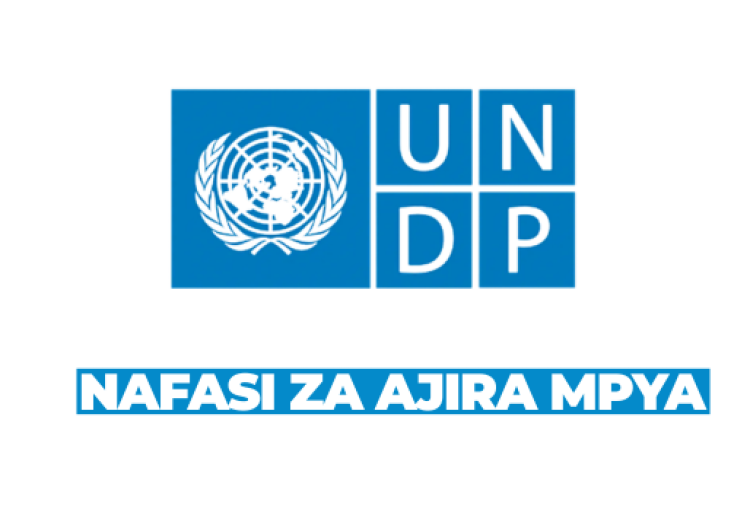 UNDP Vacancies 2026