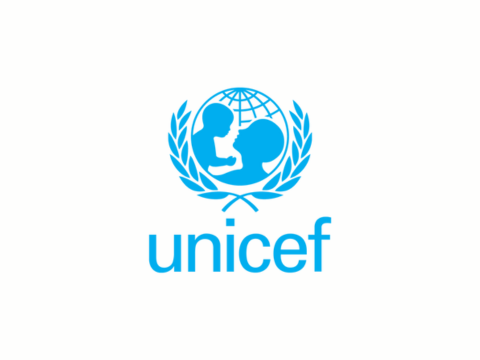 UNICEF Tanzania Vacancies 2025