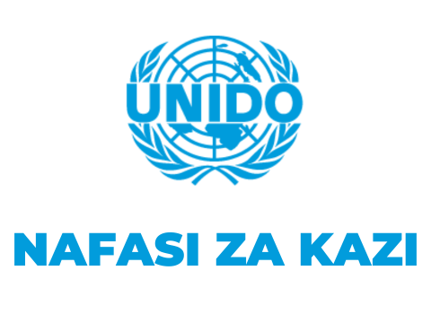 UNIDO Tanzania Vacancies 2025