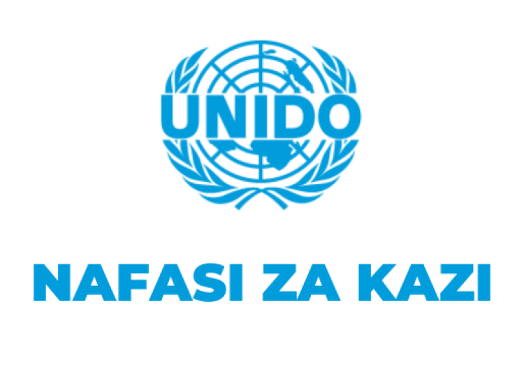 UNIDO Tanzania Vacancies 2025