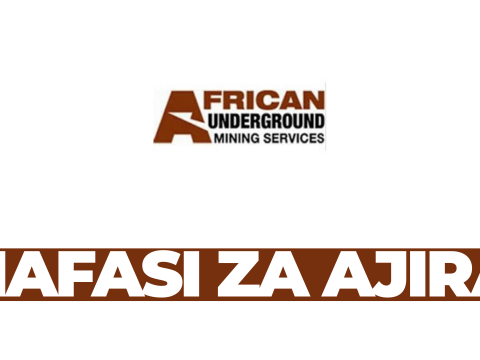 Underground Shift Supervisor Job at AUMS Geofields Tanzania – February 2026