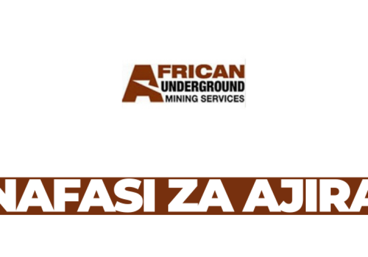 Underground Shift Supervisor Job at AUMS Geofields Tanzania – February 2026