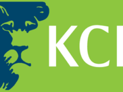 Unit Head Treasury Sales at KCB Bank January 2026