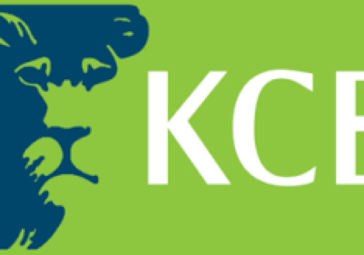 Unit Head Treasury Sales at KCB Bank January 2026
