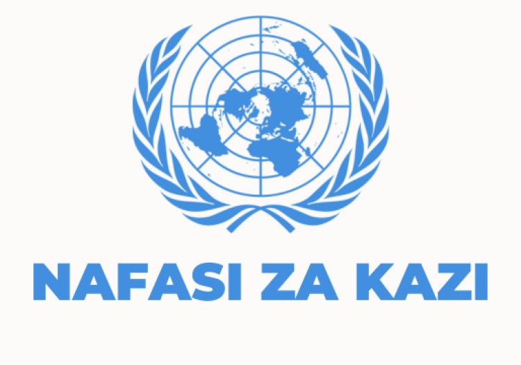 United Nations in Tanzania Vacancies 2025