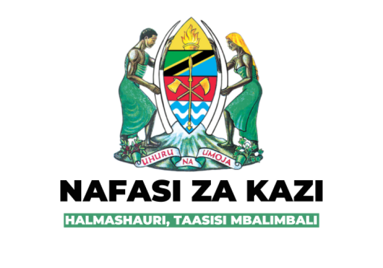 Utumishi (Ajira Portal) Vacancies 2025