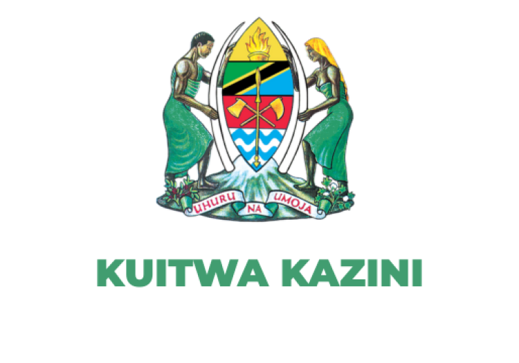 Utumishi Call for Work January 2026