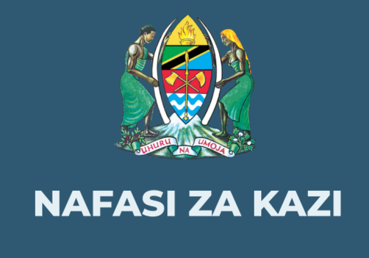 Uyui District Council Vacancies 2026