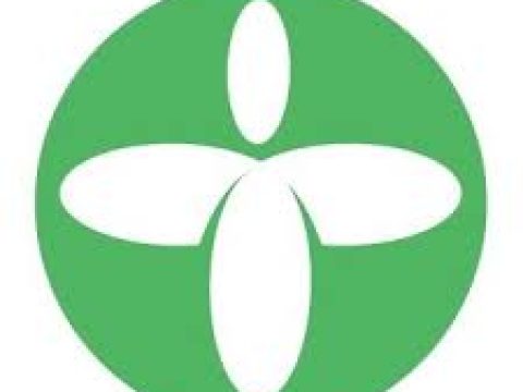 Vehicle Sales Representative at Tabono Consult January 2026