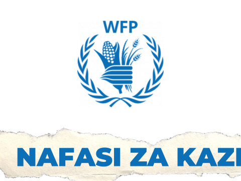 WFP Tanzania Vacancies 2025