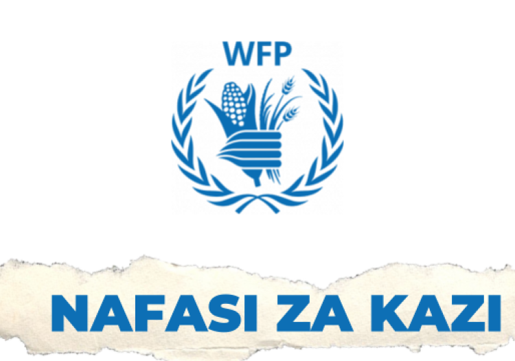 WFP Tanzania Vacancies 2025